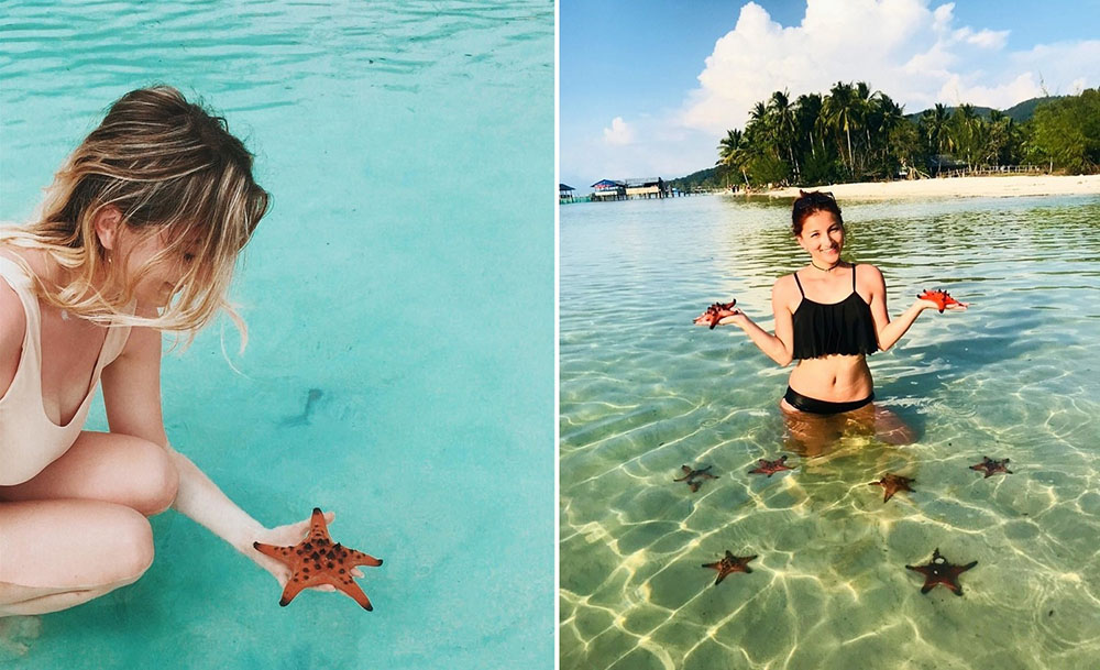 Starfish Beach in Phu Quoc